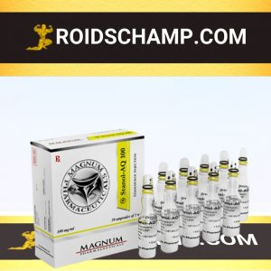buy Stanozolol injection (Winstrol depot) 10 ampoules (100mg/ml)