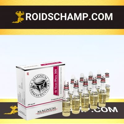 buy Sustanon 250 (Testosterone mix) 10 ampoules (300mg/ml)