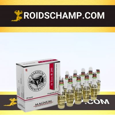 buy Sustanon 250 (Testosterone mix) 10 ampoules (200mg/ml)