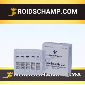 buy Nandrolone decanoate (Deca) 10 ampoules (250mg/ml)
