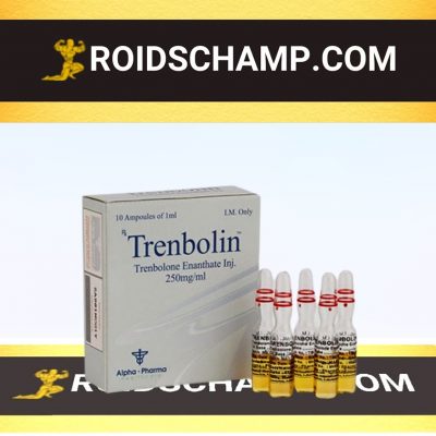 buy Trenbolone enanthate 10 ampoules (250mg/ml)
