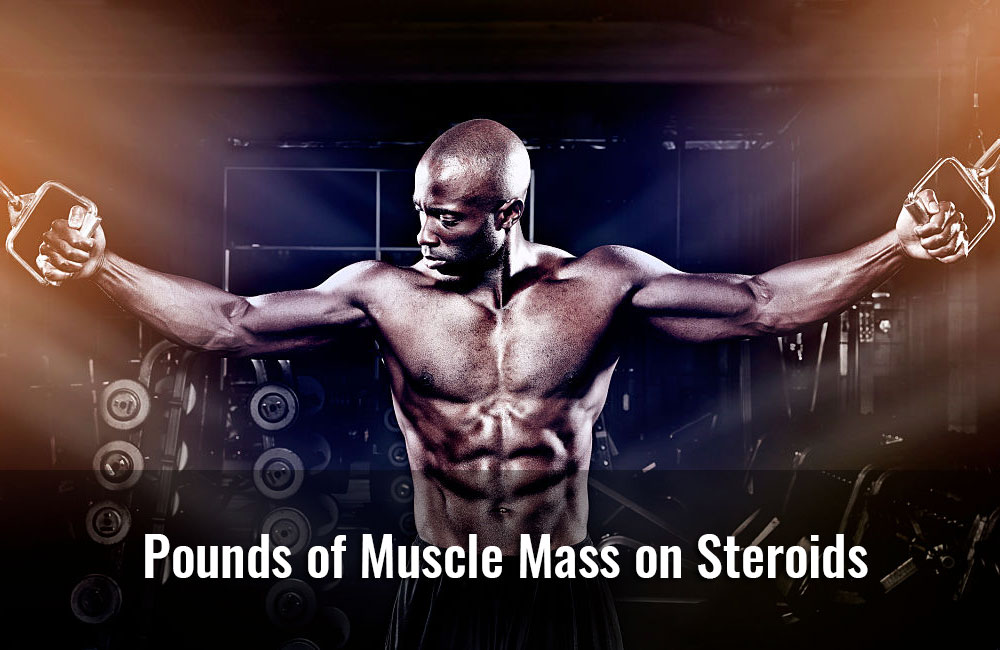 Muscle Mass on Steroids