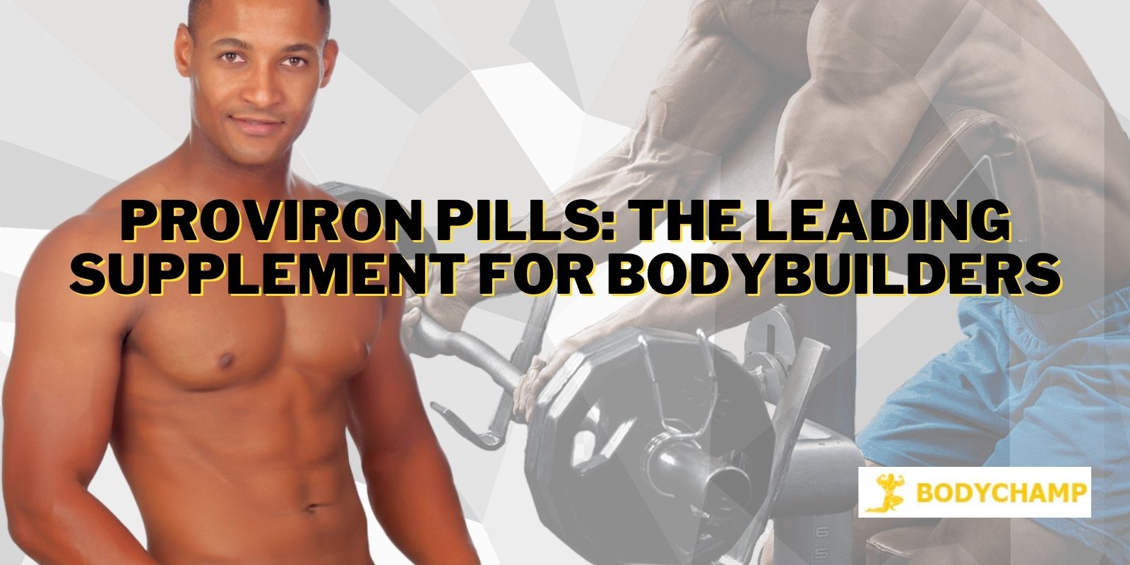 Proviron Pills: The Leading Supplement for Bodybuilders