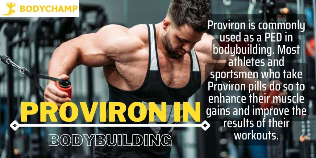 Proviron in Bodybuilding