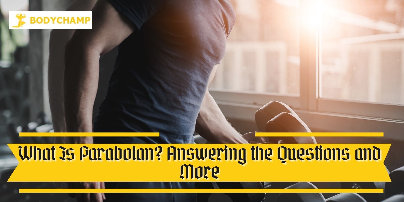 What Is Parabolan: Answering the Questions and More