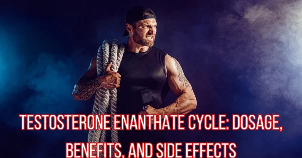 Testosterone Enanthate Dosage For Muscle Growth Testosterone Enanthate Cycle: Dosage, Benefits, and Side Effects