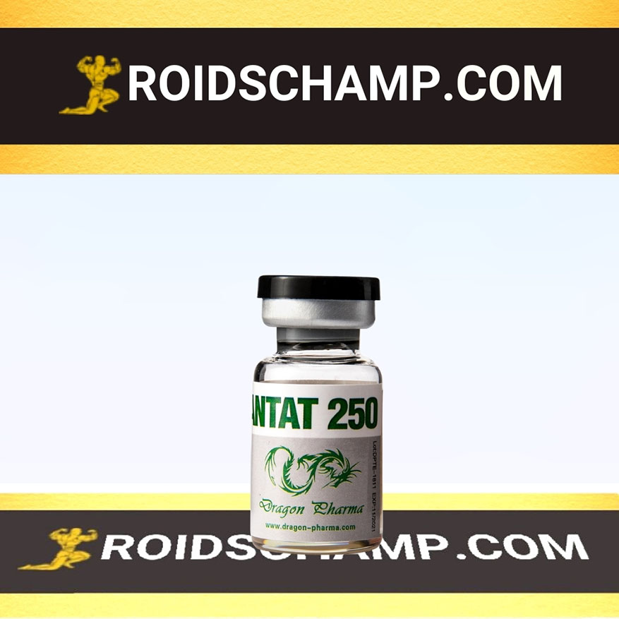 2nd BODYCHAMP Enanthat 250 - Image 1