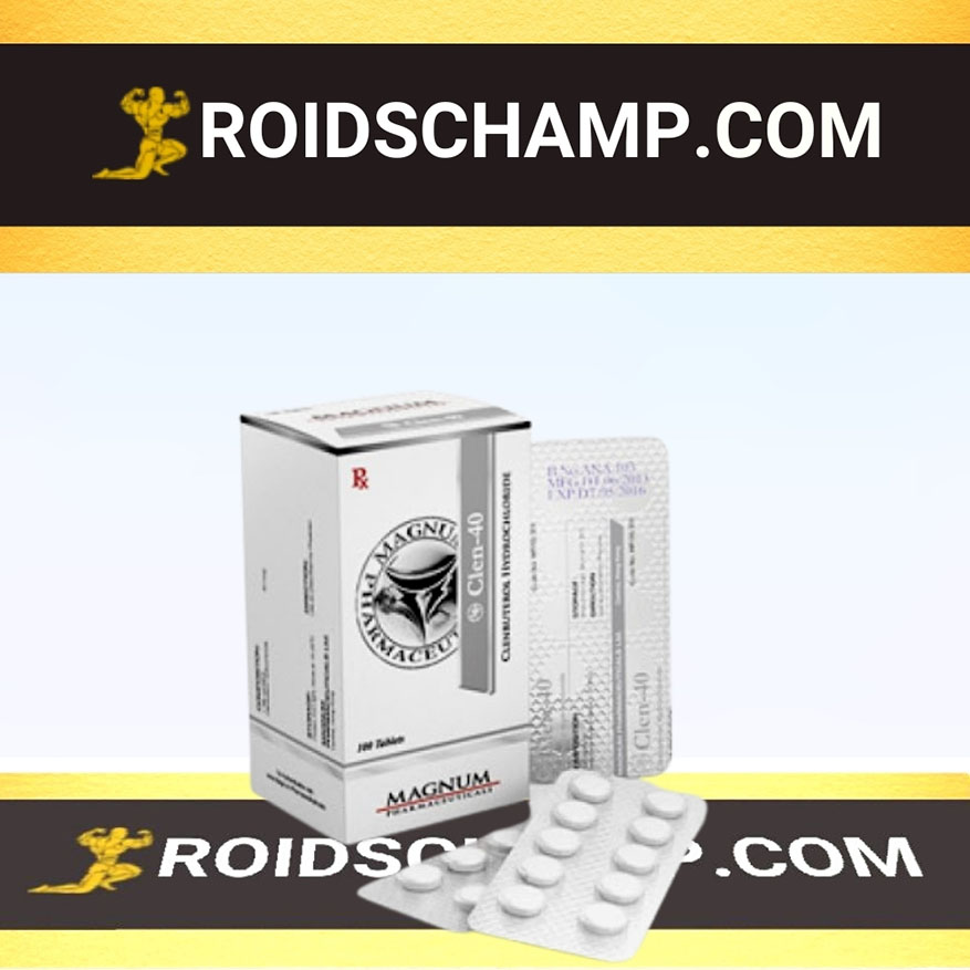 3rd BODYCHAMP Magnum Clen-40 - Image 1