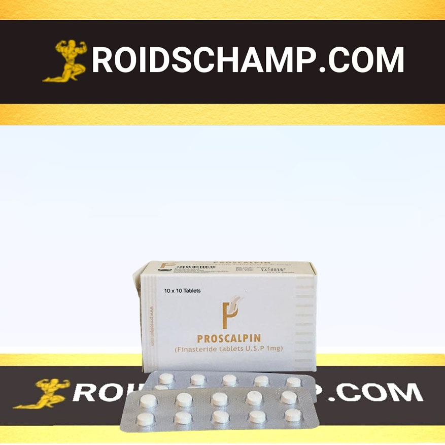 1st BODYCHAMP Proscalpin - Image 1