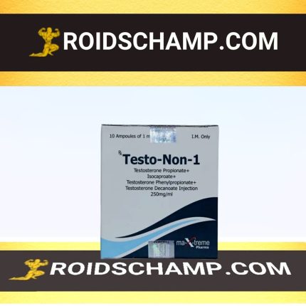 Testo-Non-1