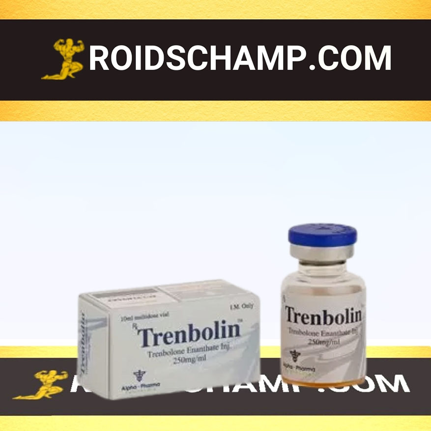 2nd BODYCHAMP Trenbolin (vial) - Image 1